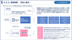 経営指標 - 支払い能力 -