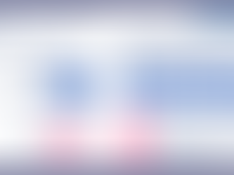 経営指標 - 支払い能力 -