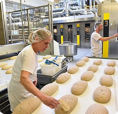 Halal_Food_Factory_Certification2_edited.png