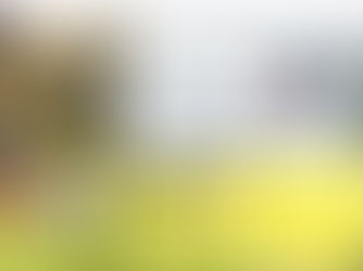 Verler Westen auf Tour