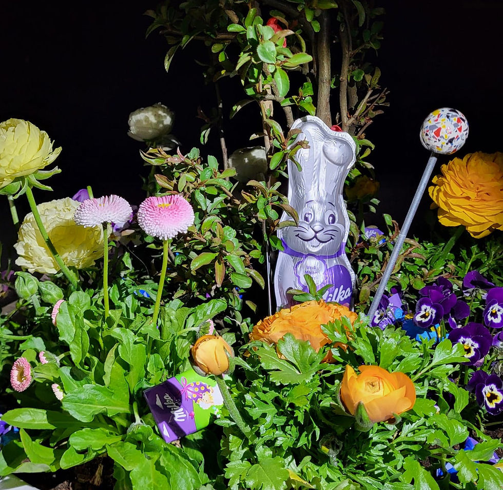 Frohe Ostern an alle!