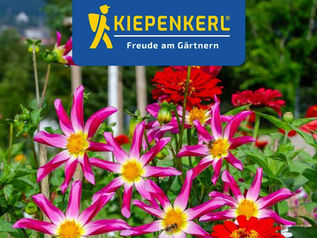 Fahrt zur Firma Kiepenkerl in Everswinkel am 23.07.