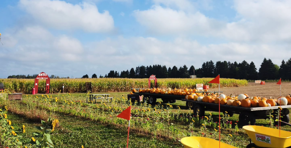 The Corn Maze - Hanes Corn Maze