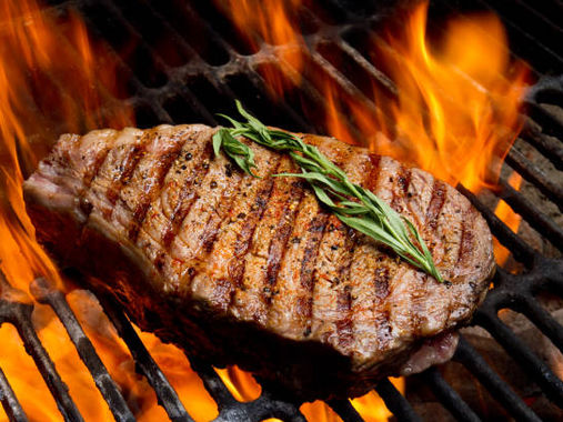 Ellen G White meat in due season