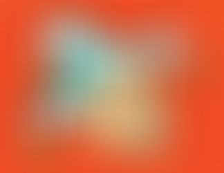 Bible quotes about idiots