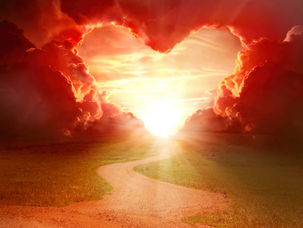 Did Jesus have many policies in the bible