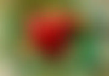 En iyi doğal ilaçlar hangileridir?