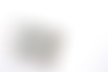 टाइटस और फिलेमोन की पुस्तक प्रश्न और उत्तर पित्त अध्ययन