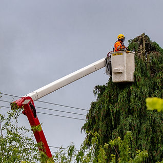 Bucket Tree Removal Prunning Trimming, D&J's Tree Service, Boone, IA