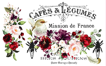 Miniaturbild: Transfer - CAGE A' OISEAUX - HOKUS POKUS
