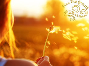 Your Unseen Anchor: How Your Breath Grounds You in a Changing World 