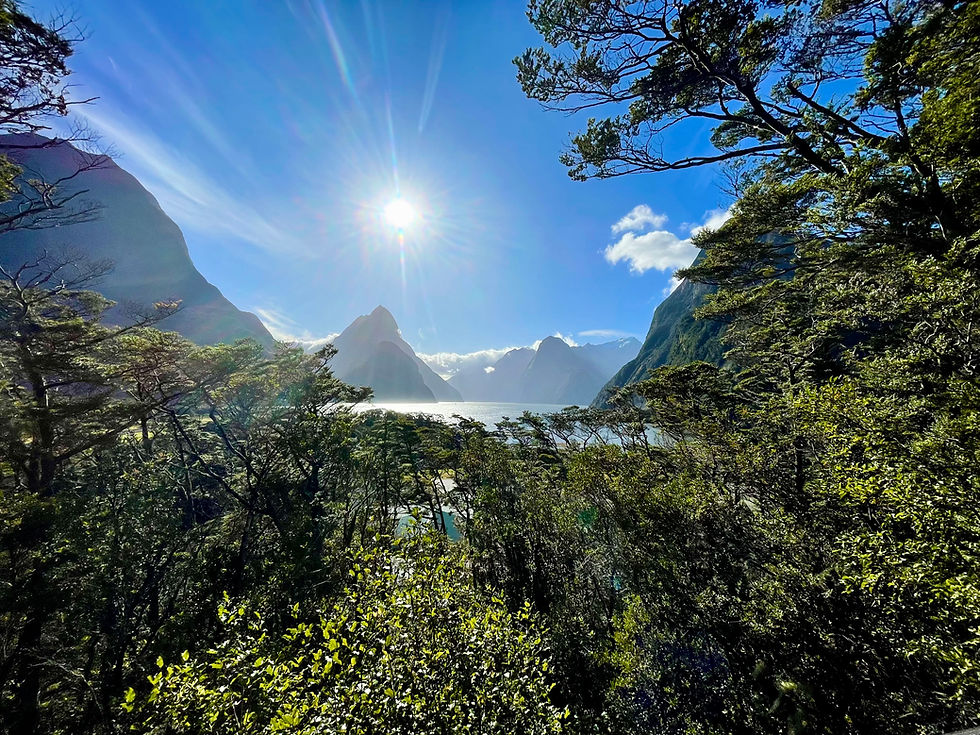 The Light Within - A Journey Through the Yoga Koshas