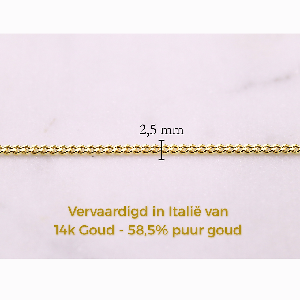 Thumbnail: Gourmet ketting 2,5 mm • 14k Goud • Regentes