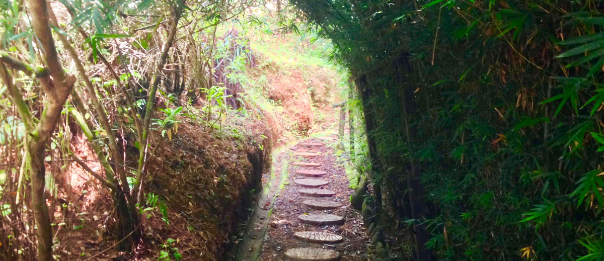 jody - 82dc18c4-bfe2-4ffc-a998-1deeeb29d122_1_201_a.jpeg