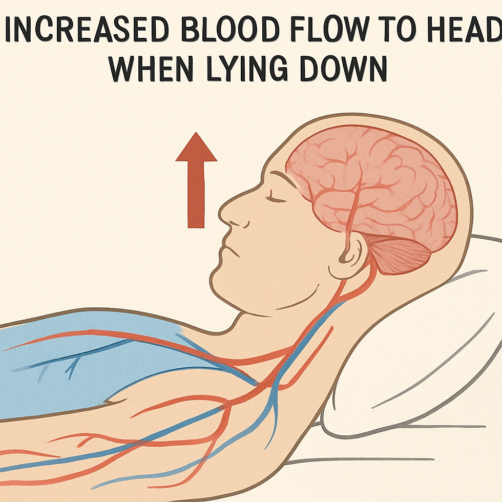 an image explaining why toothache is more at night