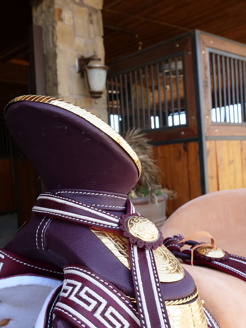 Thumbnail: MAROON AND GOLD saddle