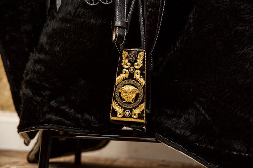 RMC VERSACE SADDLE | Mysite