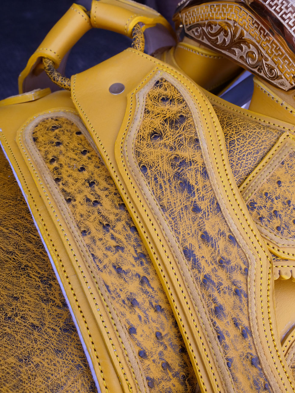 Thumbnail: YELLO AND GOLD saddle