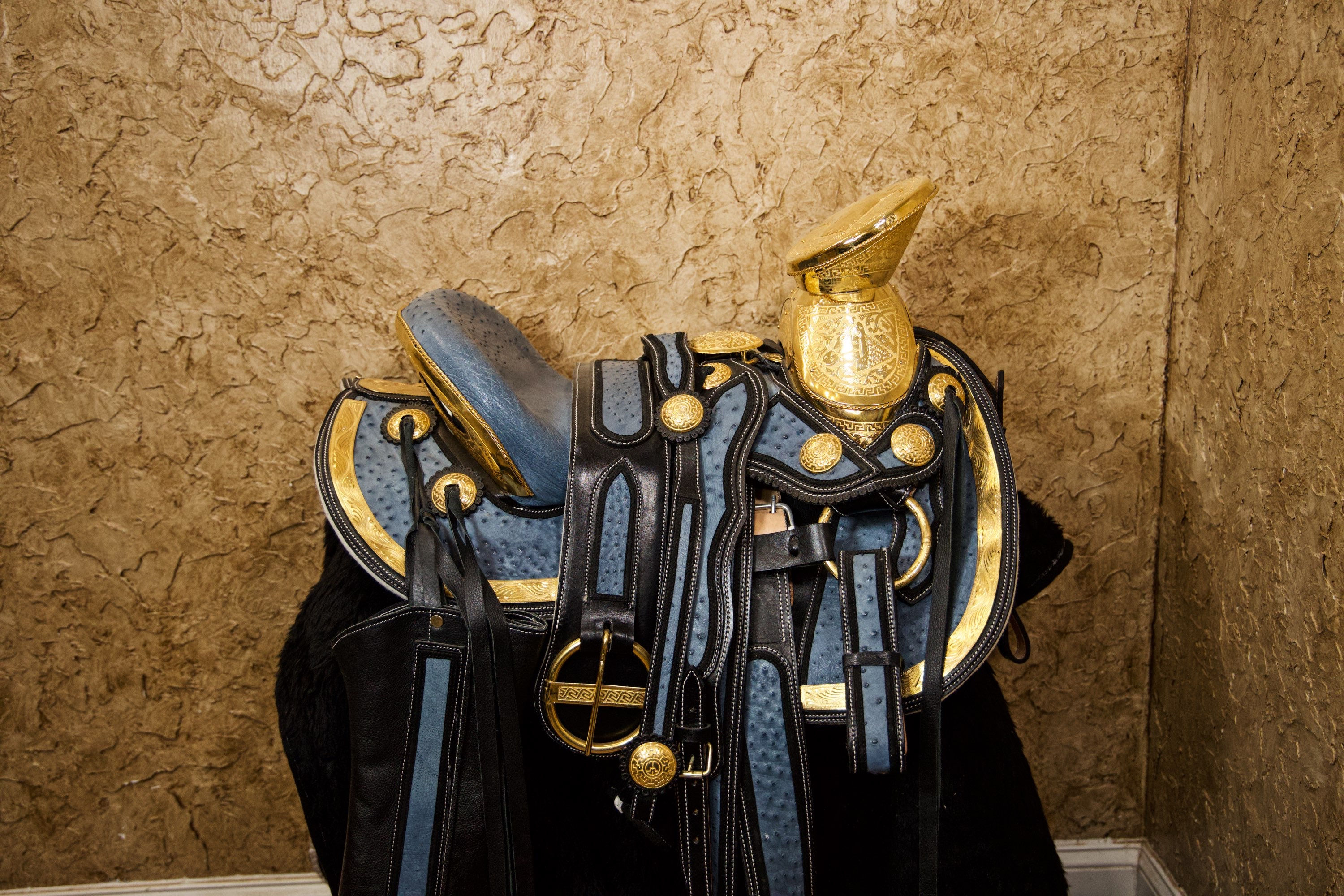 RMC SADDLE (BLUE AND GOLD)