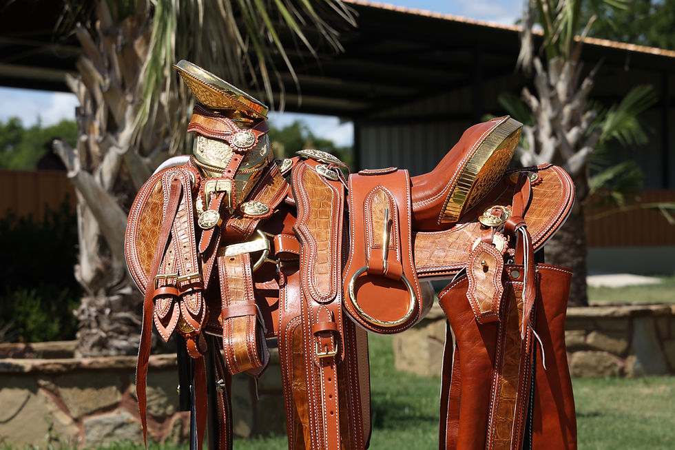 Thumbnail: RMC Brown/Gold Saddle