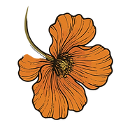 Forever Tattoo Orange Flower-03.png