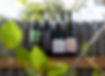 Wine Bottles.jpg