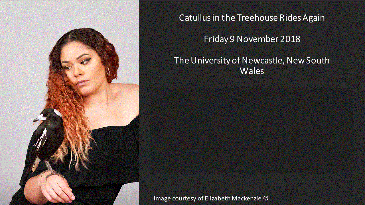 Catullus in the treehouse rides again - 09/11/2018, Callaghan (Australia)