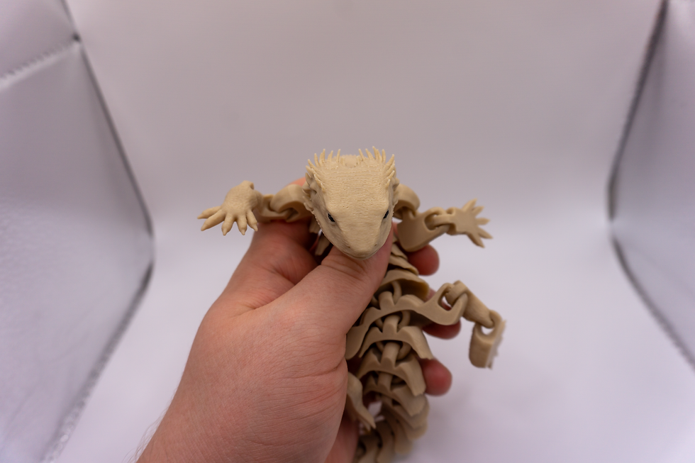 Thumbnail: Super Flexi Bearded Dragon - held in hand 1