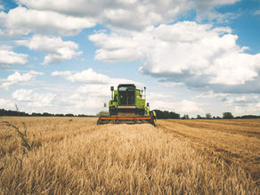 Harvest