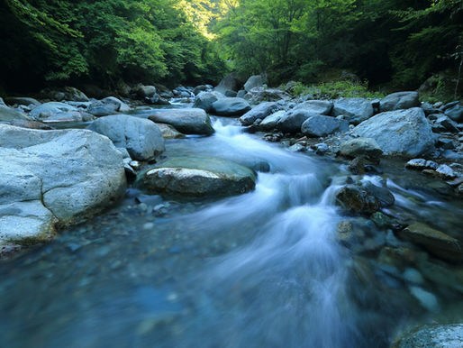NHOP School of Prayer – Session 3: Fresh Water vs. Salt
