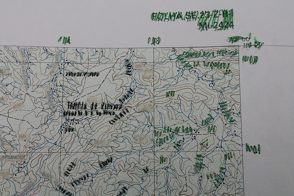 Georgina CANIFRÚ (CL)