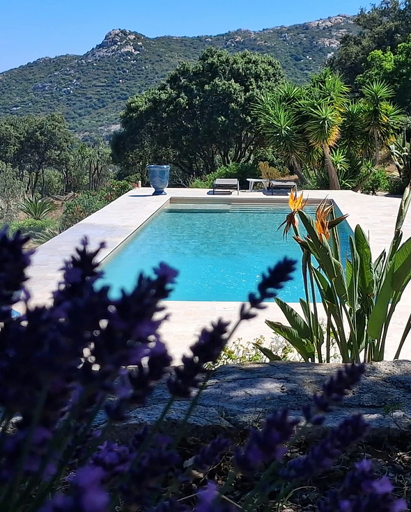 Vue sur la piscine de Casa a Scopa en Balagne