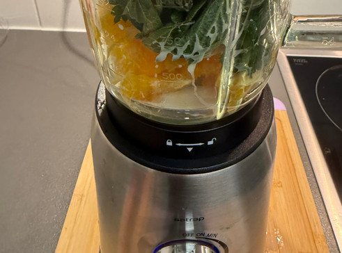 Herstellung eines Brennnessel-Smoothie in einem Hochleistungsmixer