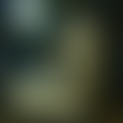 keltischer Druide sammelt auf dem Baum Misteln, die den Boden nicht berühren dürfen