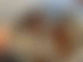 Herstellung von Mus aus essbaren Wildfrüchten: Die weichen Früchte werden durch die Flotte Lotte gepresst