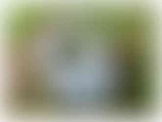 Stoffsack um gesammelte Esbare Wildpflanzen / Wildkräuter zu transportieren