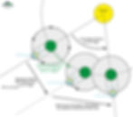 Unterschied zwischen dem siderischem (=kompletter 360°-Umlauf des Mondes) und dem synodischem (Zeitspanne zwischen selben Mondphasen) Monat (Grafik stark schematisch vereinfacht)