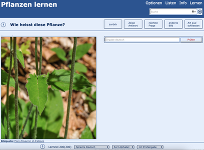 Übung bei pflanzen-lernen.ch (links) und dem App «Feldbotanik» (rechts)