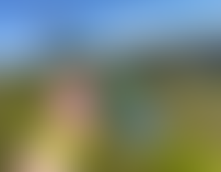 wilde Limonade aus Wald-Sauerklee während einer Wanderung, mit schöner Aussicht