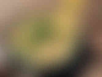 Wildkräuterpesto auf einem Teller mit Pasta, draussen in einem Ooutdoorteller angerichtet über einer Holzunterlage