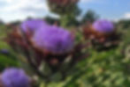 ©WoGi - stock.adobe.com