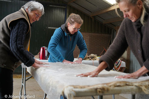 DSC04623-9.jpg