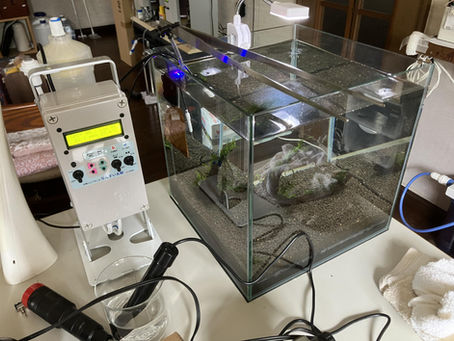 【自宅で純水作り】イオン交換樹脂0.6Lで何リットル作れる?驚きの時間計算!