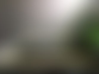 ビーシュリンプ飼育水槽追加