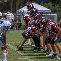 dantruskey com--4.jpg