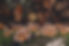 20251022-ZZS02500.jpg