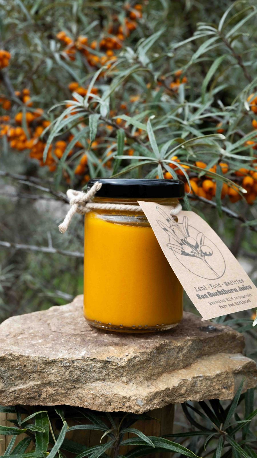 Sea buckthorn Juice 106ml