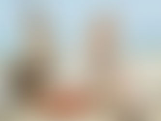 寵物配件★MILLIONG★寵物專用外出包/寵物用品韓國網站代購(香港)