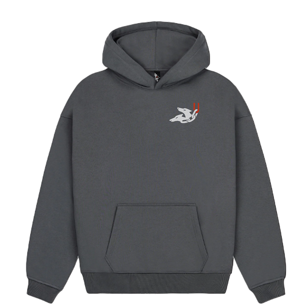 FELPA GRIGIA PNG.png