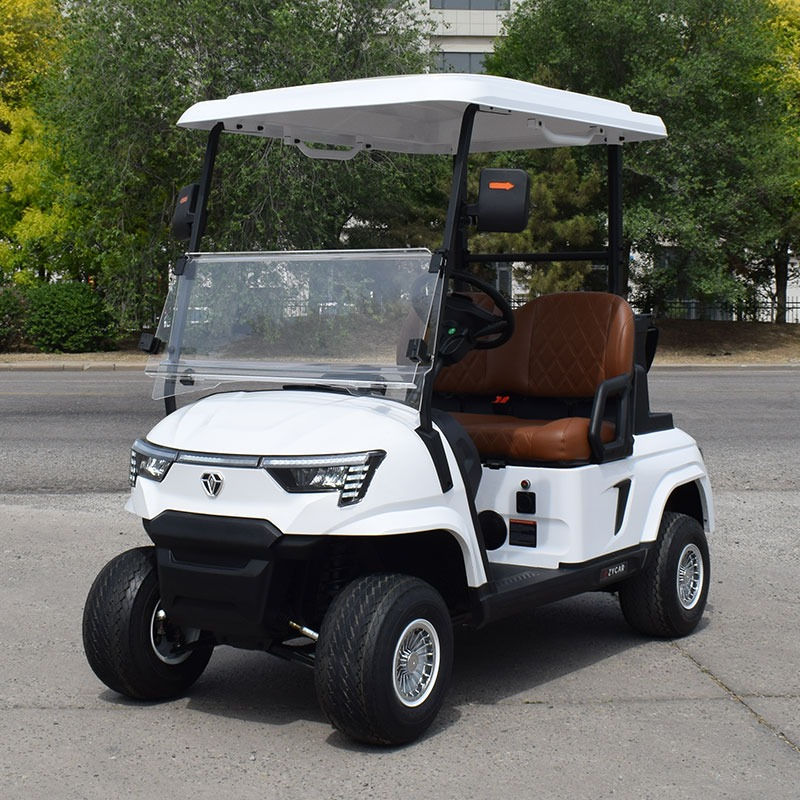 Miniature : Golfette Z-model ECC (options disponibles)